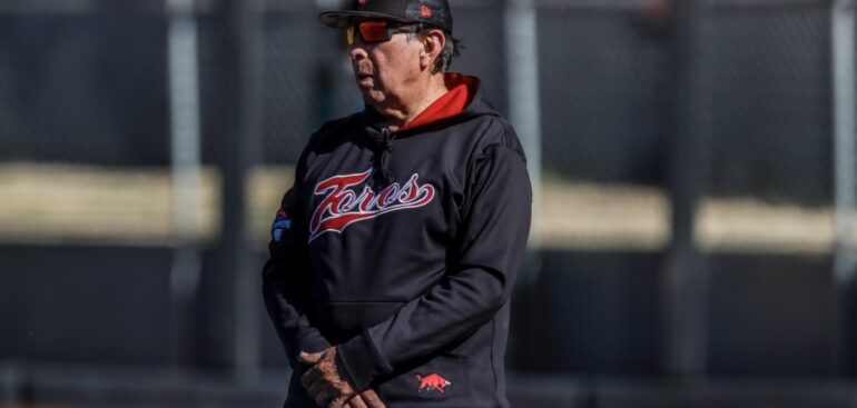 Toros de Diez, historias de una década: Una historia de béisbol sin béisbol