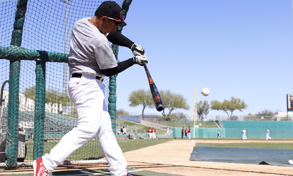 Toros de Tijuana trabajan sin descanso